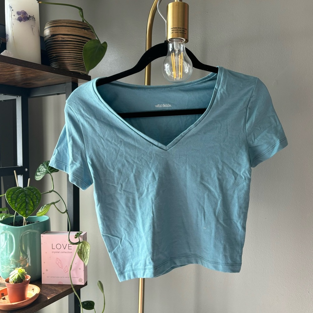 blue V neck crop top